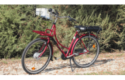 Oma Premium électrique personnalisé