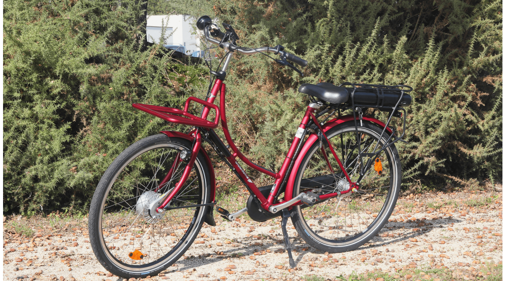 Oma Premium électrique personnalisé Oma Premium électrique personnalisé