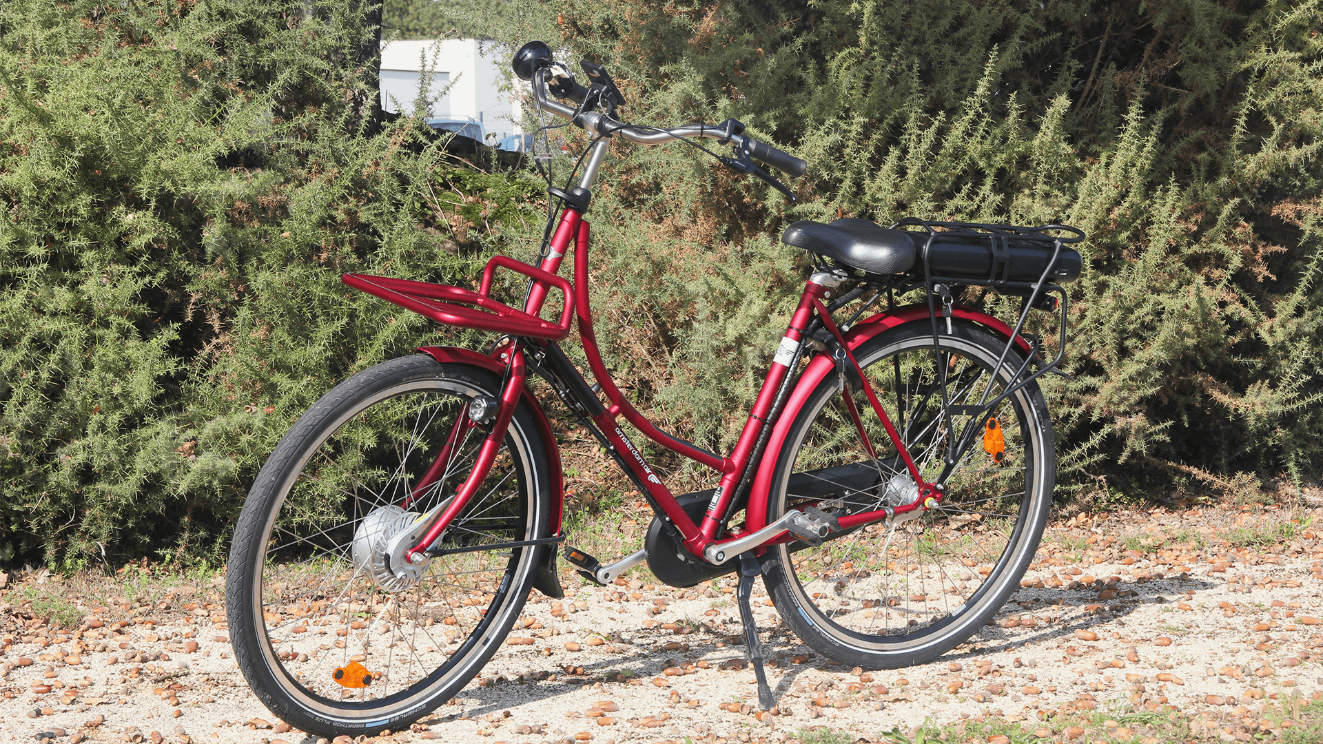 Oma Premium électrique personnalisé