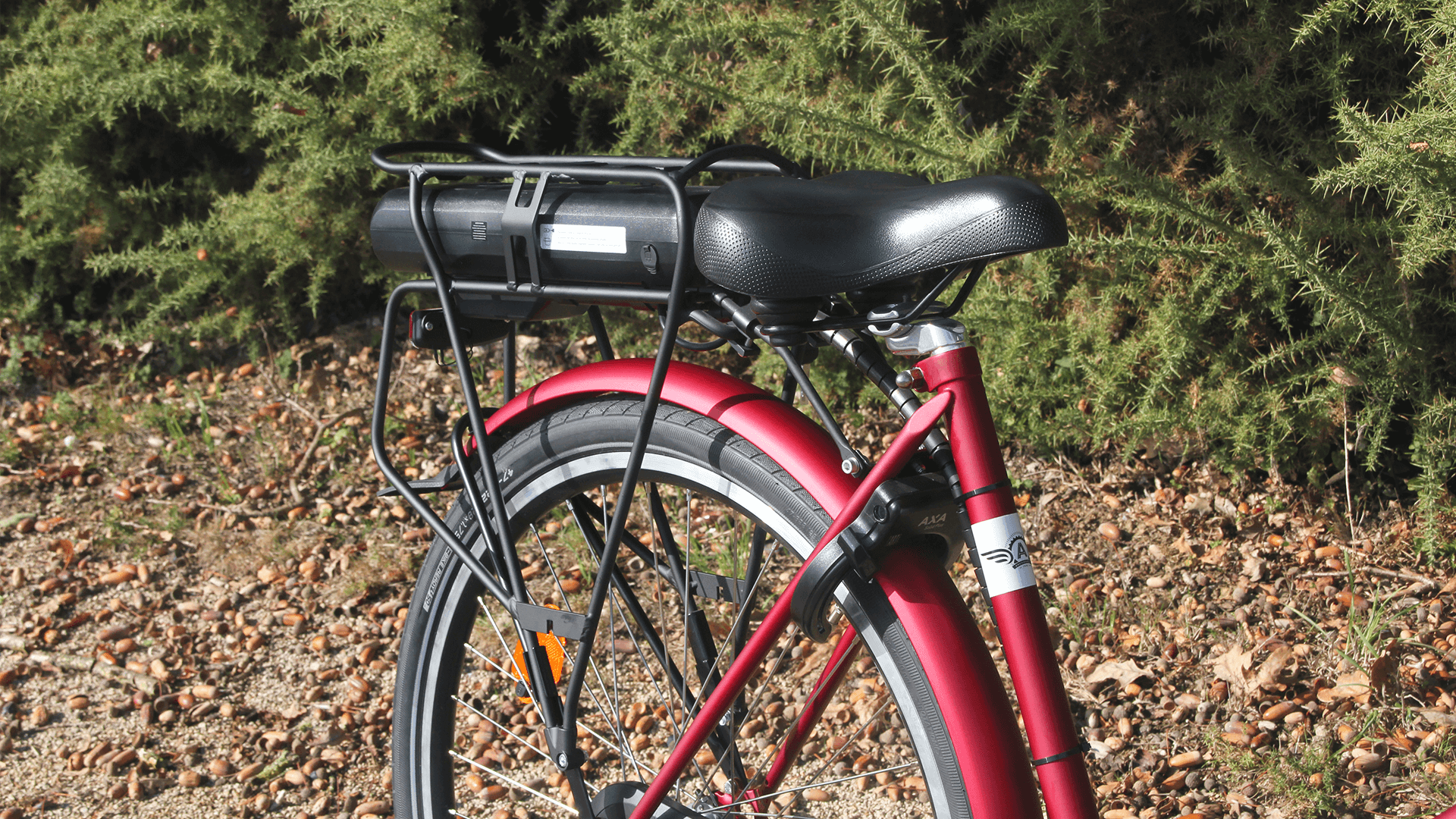 Oma Premium électrique personnalisé