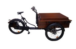  Triporteur vente ambulante taille M avec options