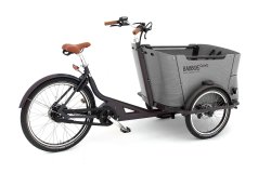 Triporteur Babboe Curve Mountain avec coffre gris clair