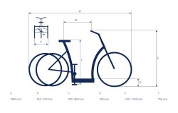 Les dimensions du tricycle électrique Roma