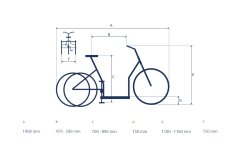 Les dimensions précises du tricycle Ally FM