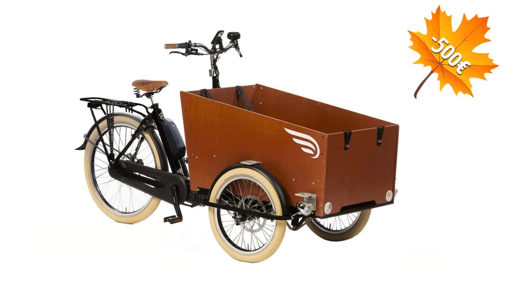 500€ de remise immédiate sur ce modèle déjà personnalisé du triporteur Bakfiets Confort STEPS