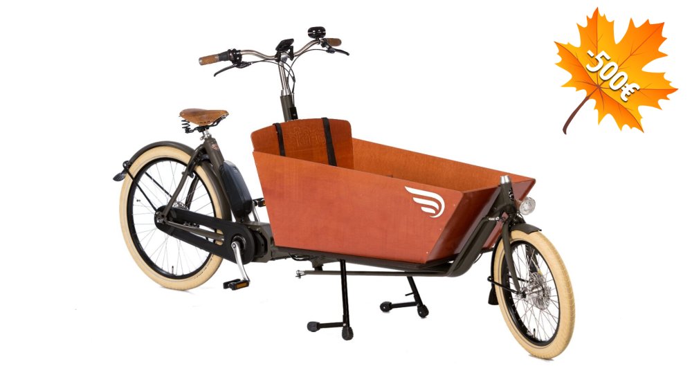 500€ de remise immédiate sur ce modèle déjà personnalisé du biporteur Bakfiets Confort STEPS