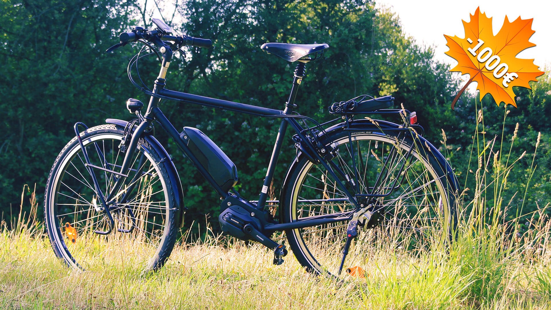 Remise immédiate de 1000€ sur ce modèle unique et prêt à rouler
