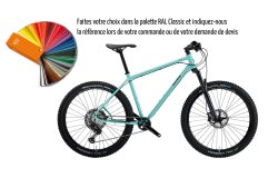 VTT MTB Trail avec cadre Diamant couleur spéciale RAL 6027 vert clair, transmission XT 1×12 & Nobby Nic 62-584