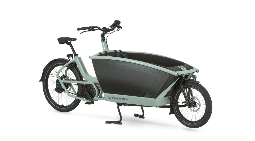Biporteur électrique Family avec cadre vert sauge Biporteur électrique Family avec cadre vert sauge