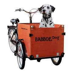 Triporteur Babboe Dog 