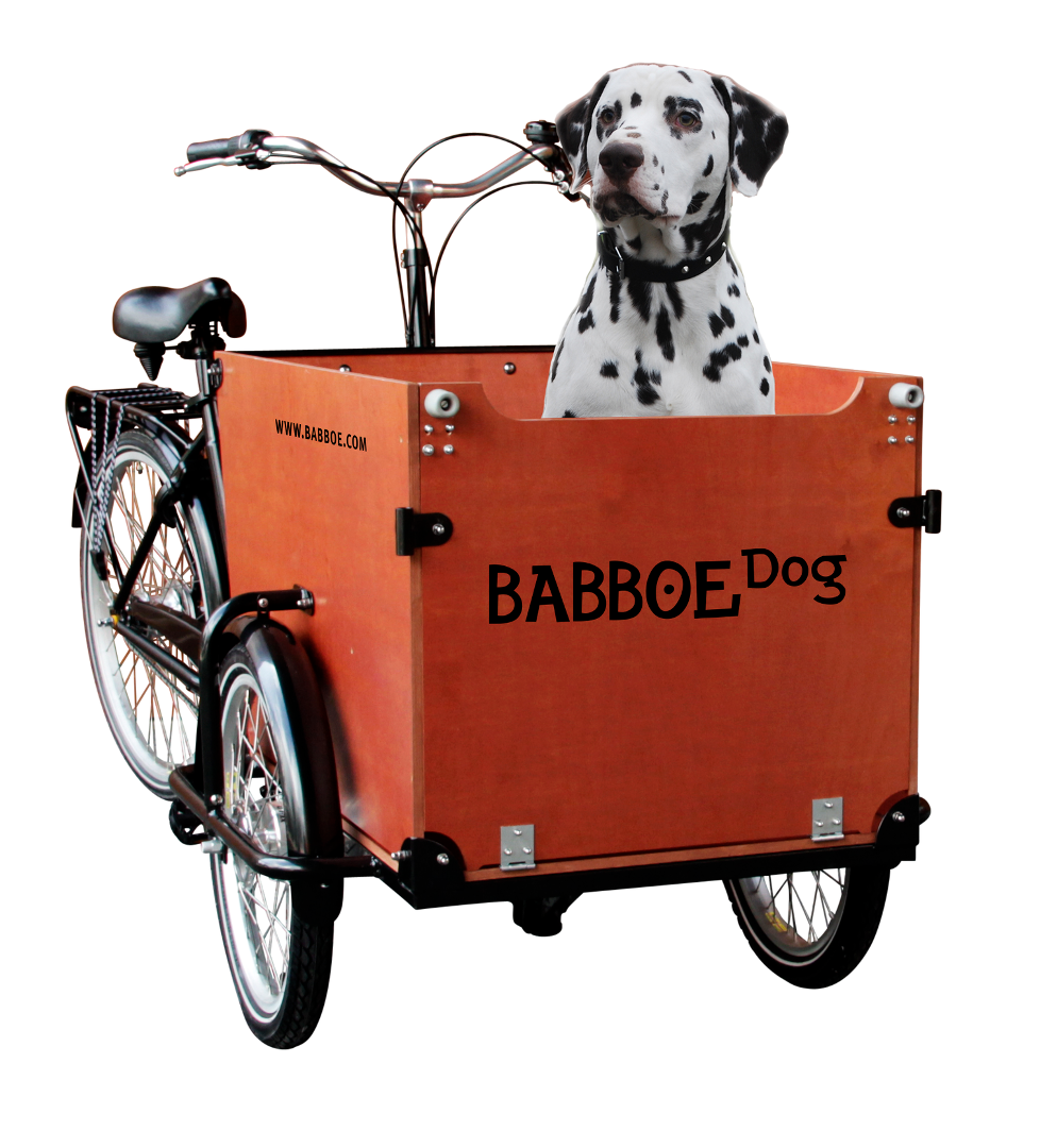 Triporteur Babboe Dog 