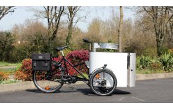 Triporteur électrique NIHOLA CARGO XL Propreté Shimano E-Bike Systems