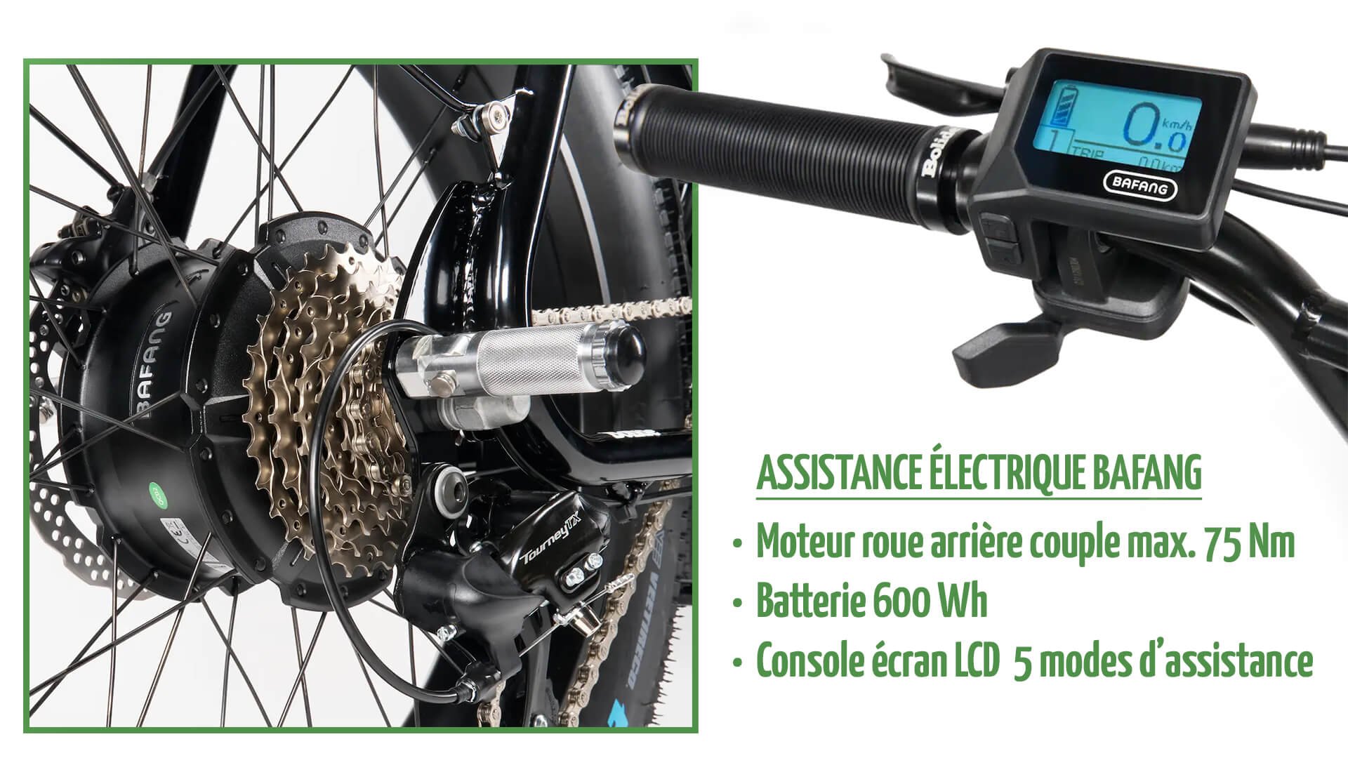 Les éléments de l'assistnce électrique Bafang