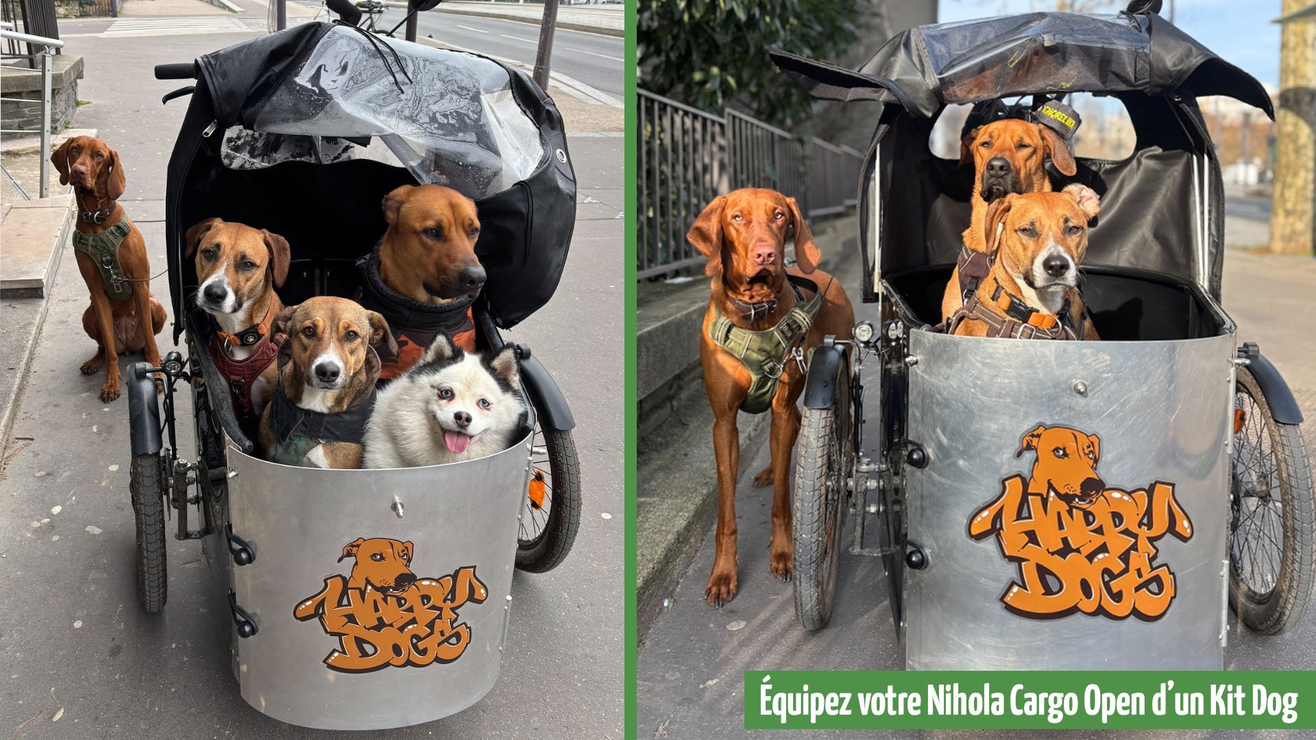 Le Kit Dog est conçu pour assurer des trajets sécurisés à votre chien