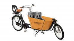 Biporteur Babboe City Mountain avec sièges enfants dans le coffre et sur le porte-bagage arrière