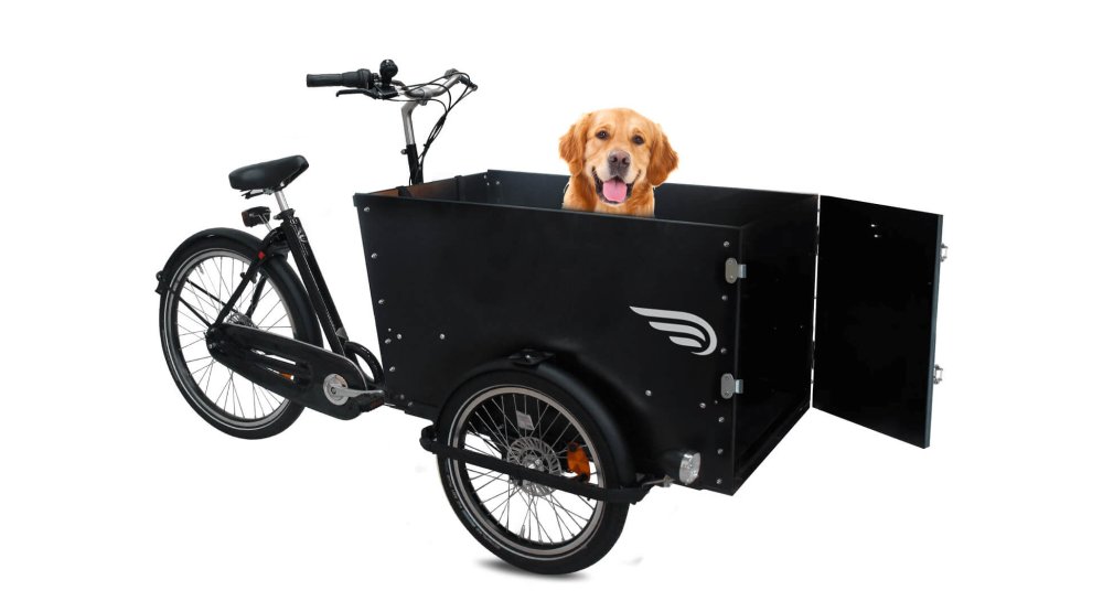 Le triporteur Amsterdam Air eDrive chien dans sa configuration de base
