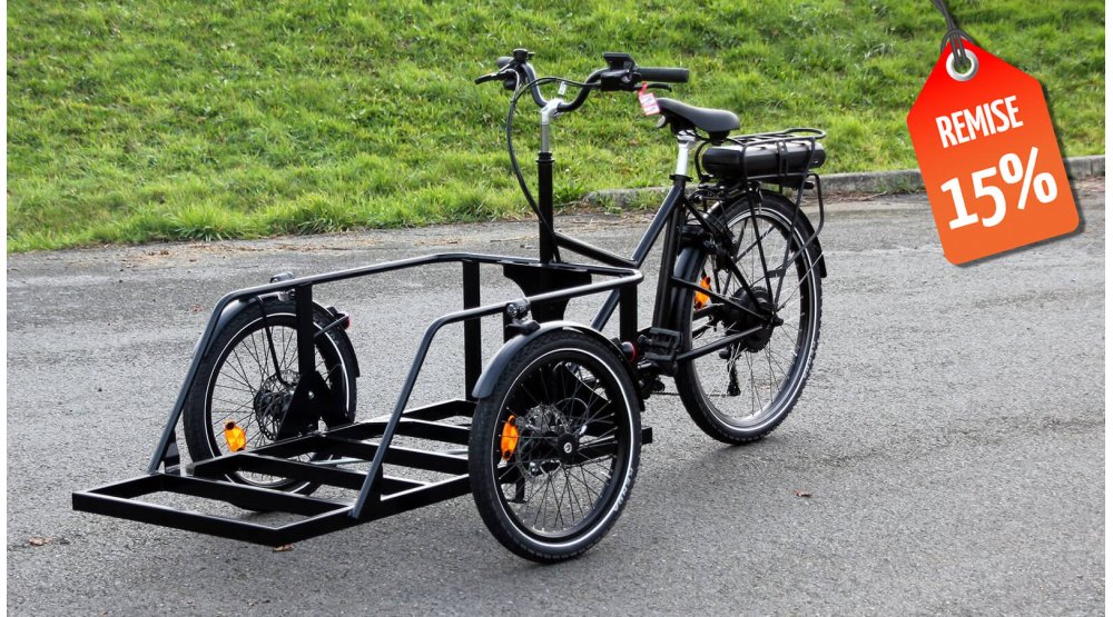 Triporteur électrique NIHOLA MAXX étroit avec batterie 600 Wh