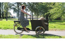 Ce triporteur est équipé de pneus ballons équipé qui assurent une bonne tenue de route