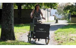 Profitez de belles balades avec votre compagnon à quatre pattes 