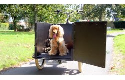 La porte avant s'ouvre pour faciliter la montée et la descente du chien ! 