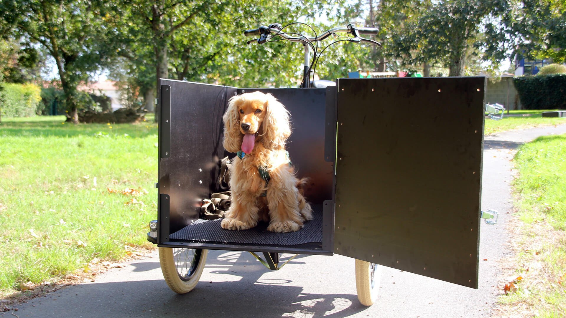 La porte avant s'ouvre pour faciliter la montée et la descente du chien ! 