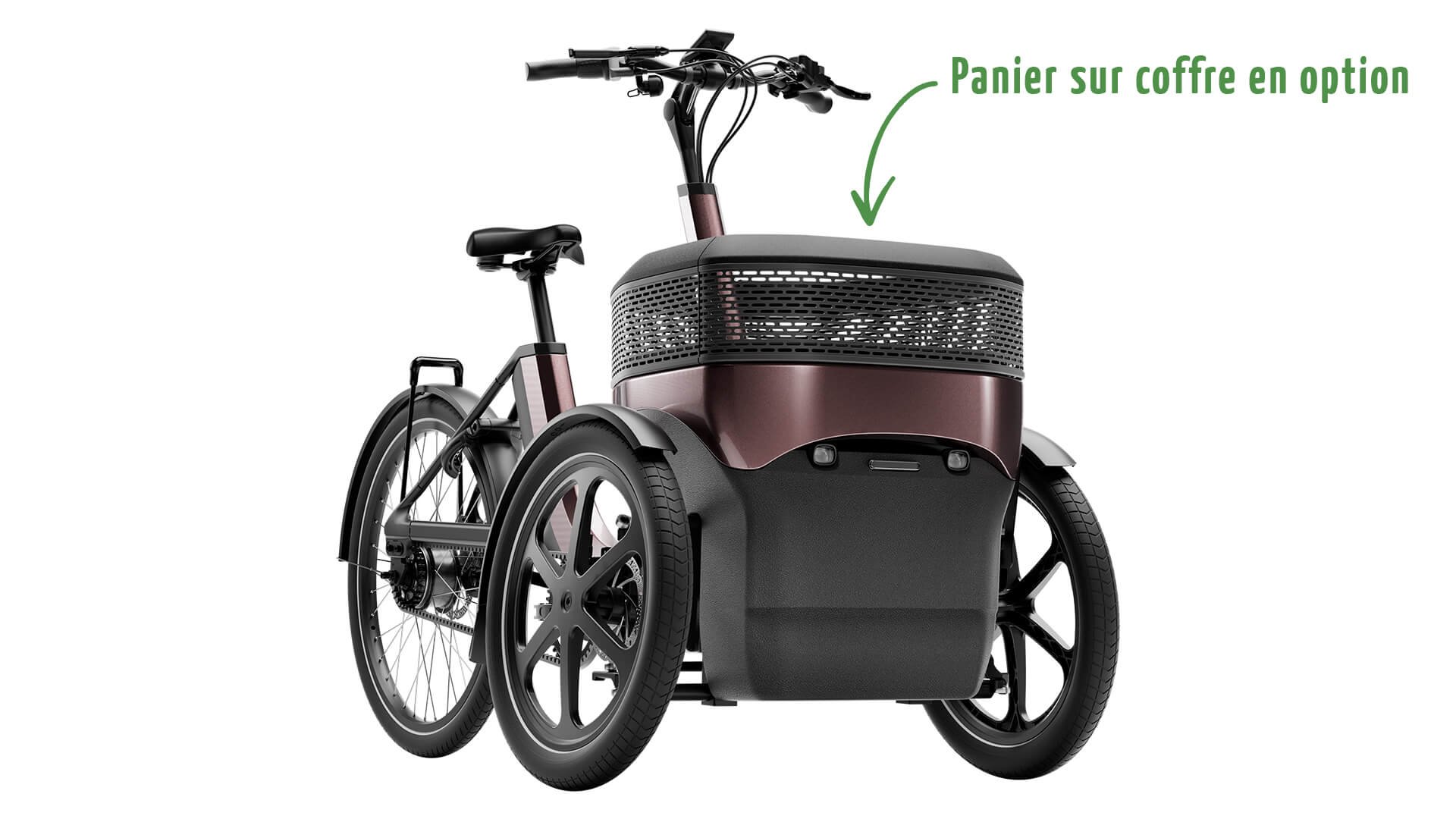 Triporteur électrique Thuja de vanRaam