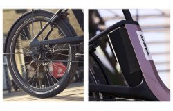 Triporteur électrique Thuja de vanRaam