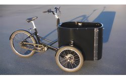  Triporteur NIHOLA CARGO XL Pro