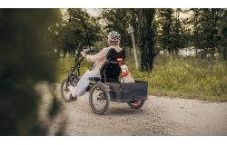 Kettwiesel One UP de Hase Bikes