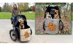Triporteur NIHOLA CARGO Dog