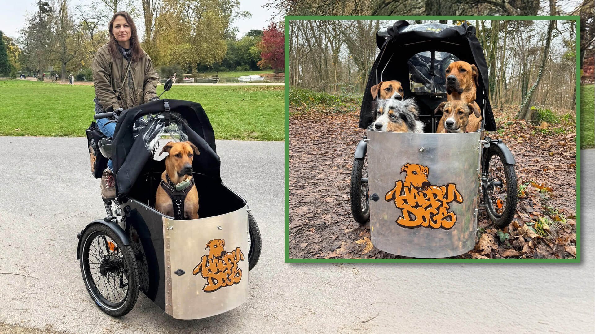 Triporteur NIHOLA CARGO Dog