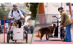 Triporteur NIHOLA CARGO Dog