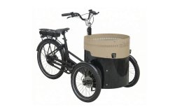 Triporteur NIHOLA ORIYA