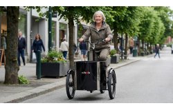 Triporteur NIHOLA LOW