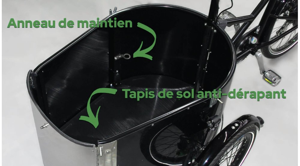 Kit Dog (tapis antidéparant +anneau)