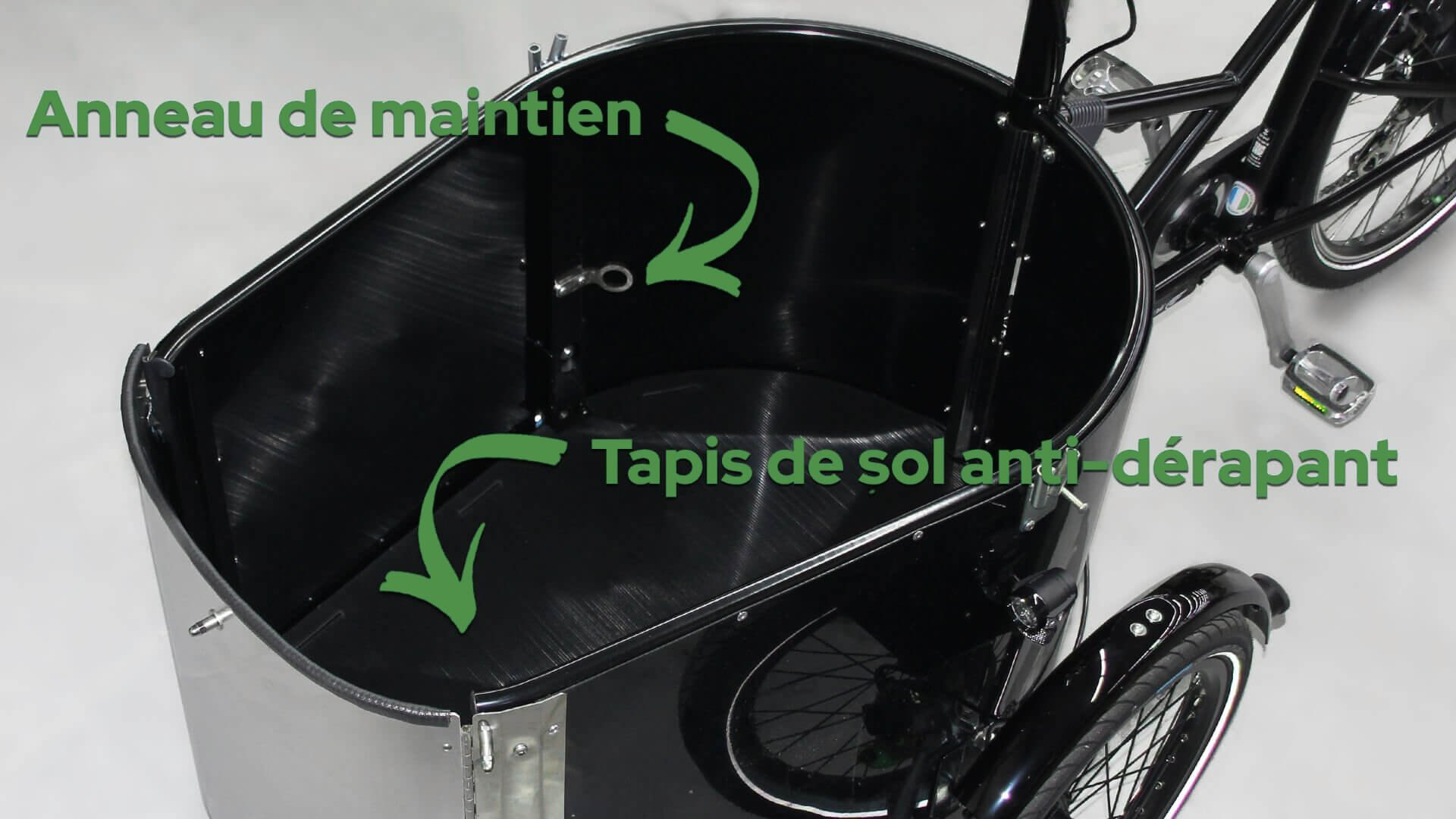 Kit Dog (tapis antidéparant +anneau)