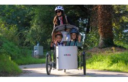 Triporteur NIHOLA CARGO Family