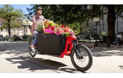 Retirez la banquette enfant pour transformer votre Cargo Verso en vélo professionnel 