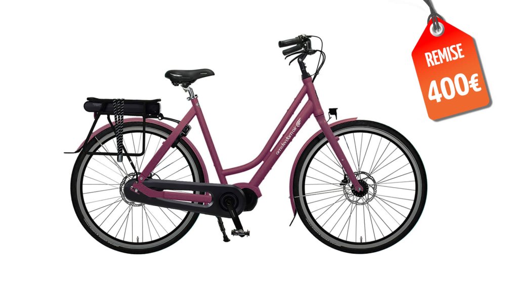 Vélo électrique Flevoland – Assistance pédalier Shimano (modèle personnalisé) Vélo électrique Flevoland – Assistance pédalier Shimano (modèle personnalisé)