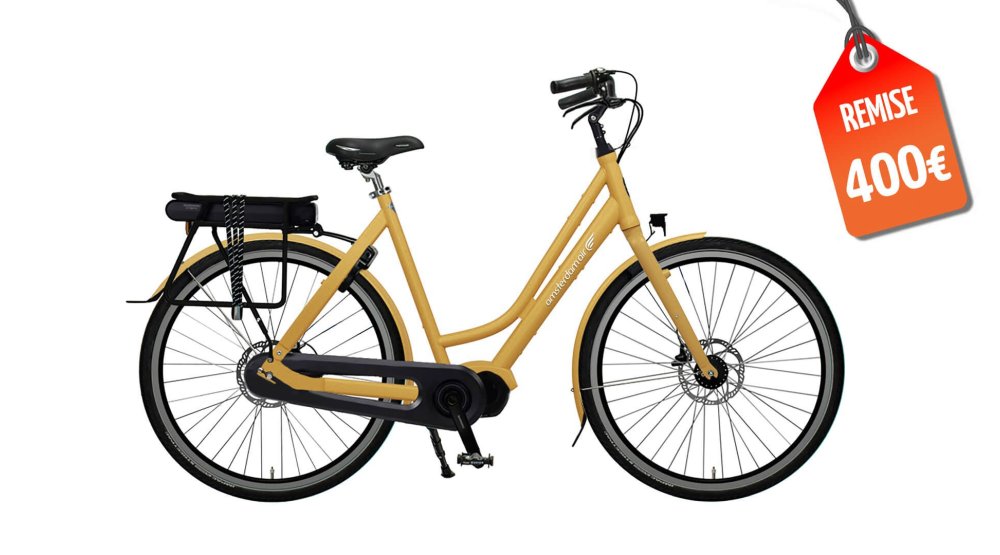 Vélo électrique Flevoland – Assistance pédalier Shimano (modèle personnalisé) Z