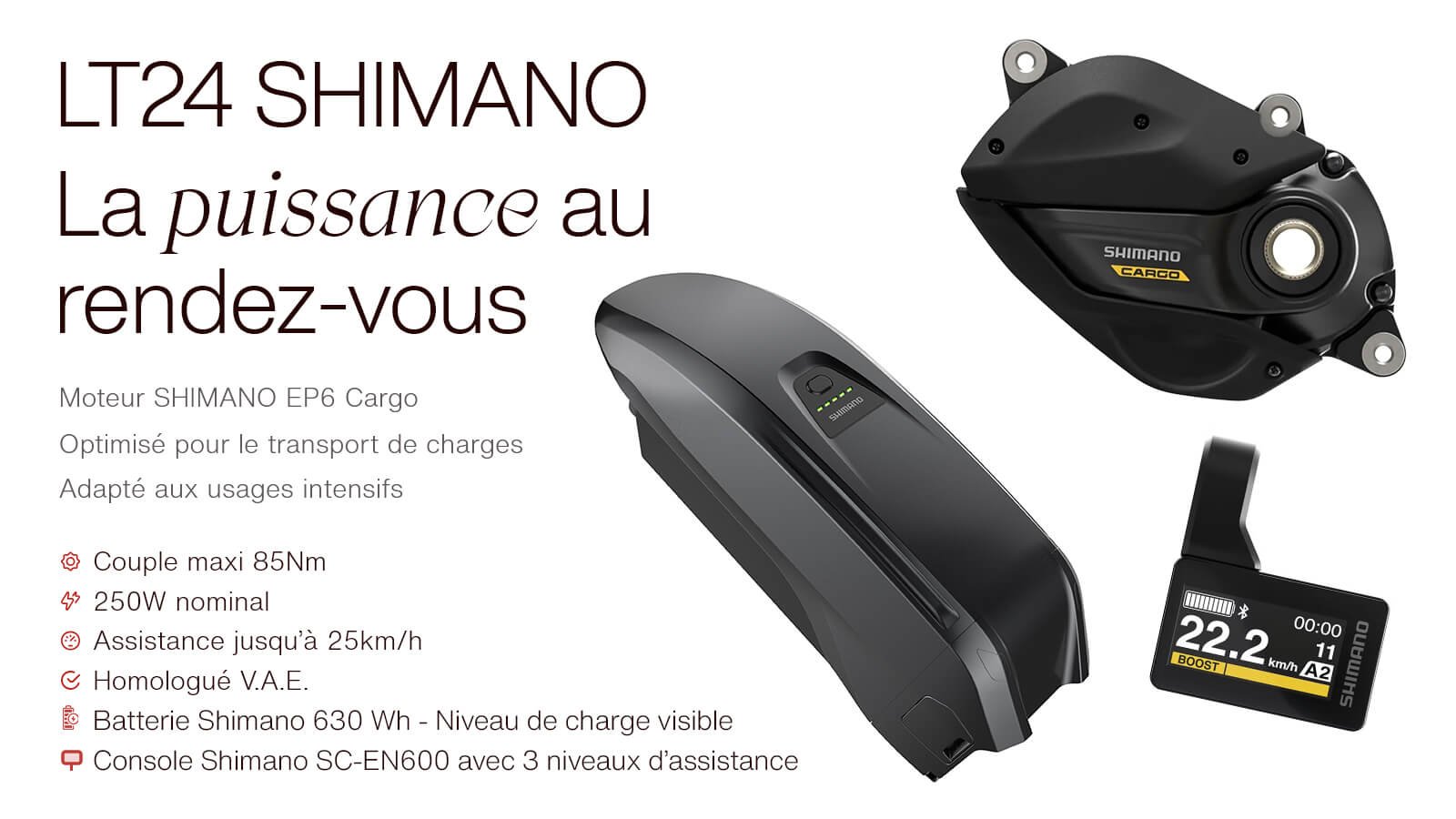 L'assistance électrique Shimano