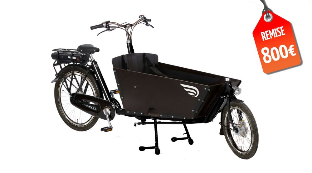 Le biporteur électrique Amsterdam Air dans sa configuration de base