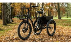 Tricycle électrique Lovelo de Leader Fox