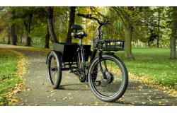 Tricycle électrique Lovelo de Leader Fox