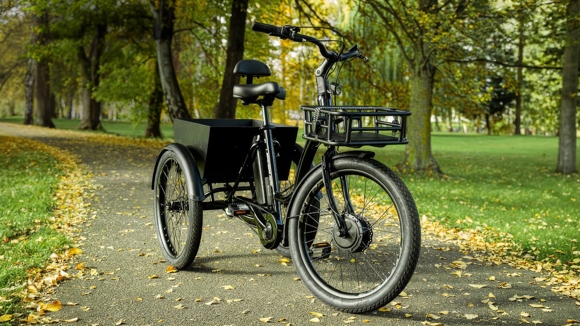 Tricycle électrique Lovelo de Leader Fox