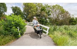 Biporteur électrique Urban Arrow FamilyNext