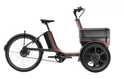 Triporteur électrique Thuja de vanRaam