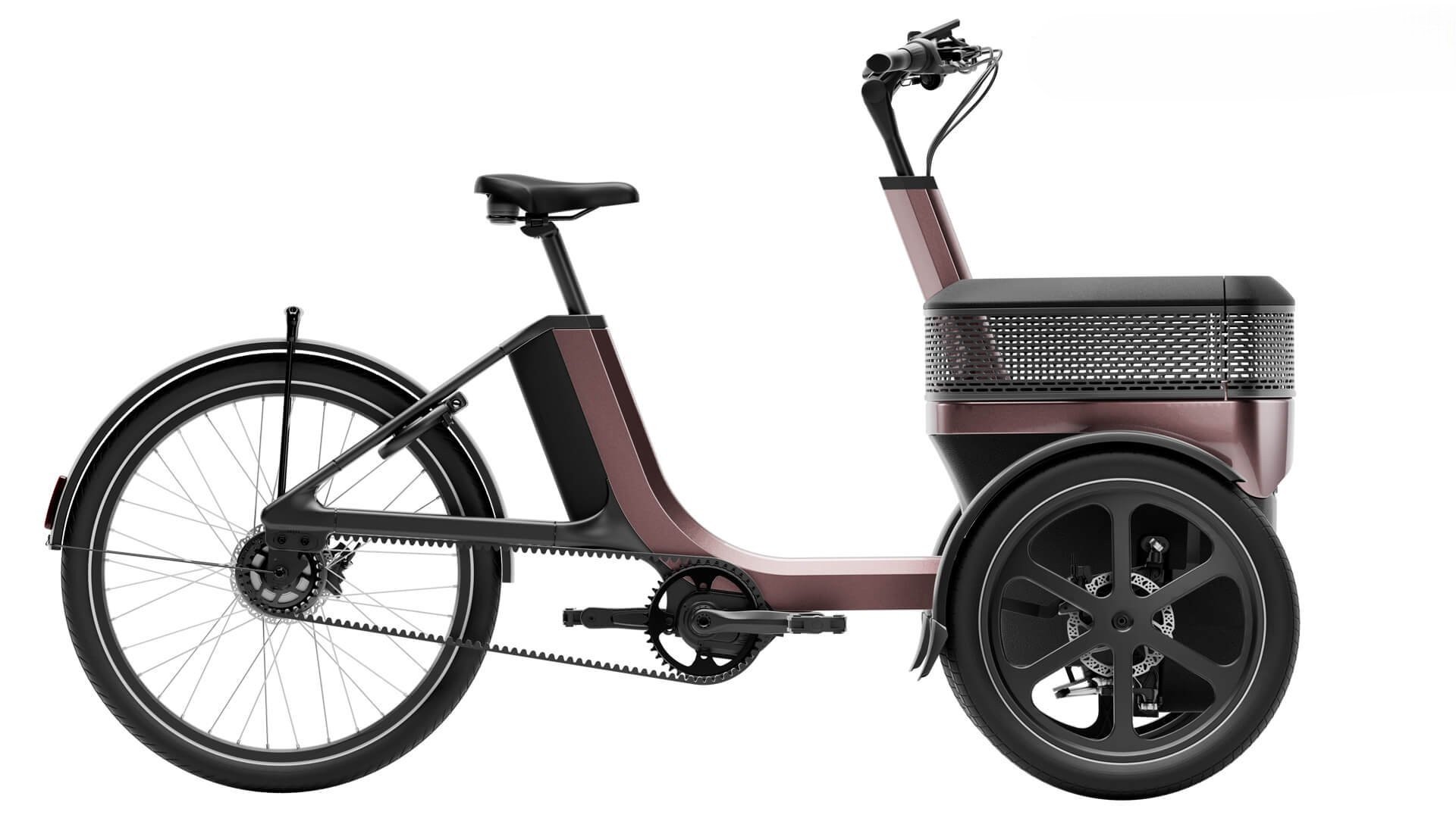 Triporteur électrique Thuja de vanRaam