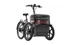 Triporteur électrique Thuja de vanRaam