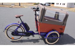 Triporteur électrique Bakfiets Confort - Assistance pédalier Shimano